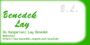 benedek lay business card